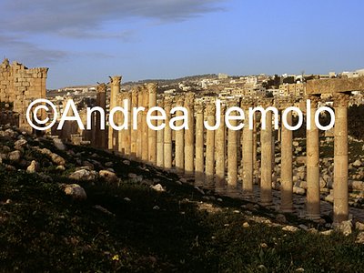 Cardo maximus  | Andrea Jemolo