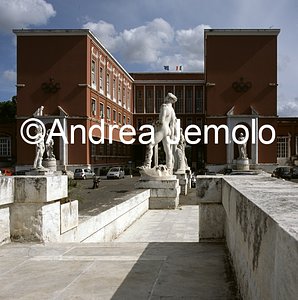 Academy of Physical Education  | Andrea Jemolo