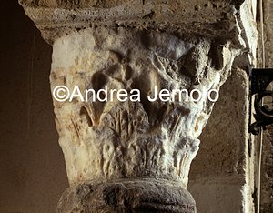 St. Martin in Ortigia Capitals with olive leaves | Andrea Jemolo