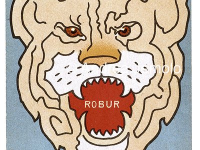 Ferrochina Bisleri Advertising postcard | Andrea Jemolo