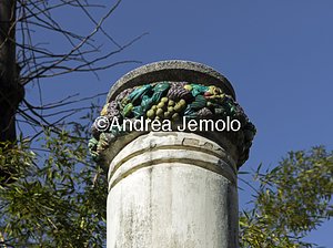 Villino Cagiati Majolica | Andrea Jemolo