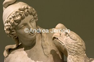 Archaeological National museum Farnese Collection - Ganymede and Zeus in the form of eagle - Detail | Andrea Jemolo