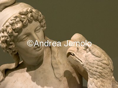 Archaeological National museum Farnese Collection - Ganymede and Zeus in the form of eagle - Detail | Andrea Jemolo