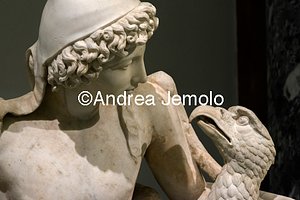 Archaeological National museum Farnese Collection - Ganymede and Zeus in the form of eagle - Detail | Andrea Jemolo