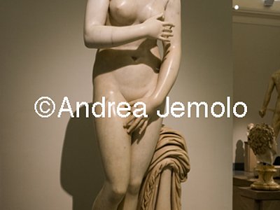 Museo Archeologico Nazionale Collezione Farnese - Afrodite tipo Capitolino con testa ritratto | Andrea Jemolo