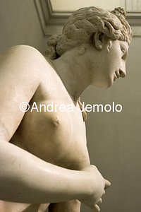 Archaeological National museum Farnese Collection - Capitoline-type Aphrodite - Detail | Andrea Jemolo