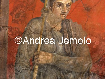 Museo Archeologico Nazionale Boscoreale - Megalografia dalla villa di Publio Fannio Sinistore - Particolare -Principe macedone | Andrea Jemolo